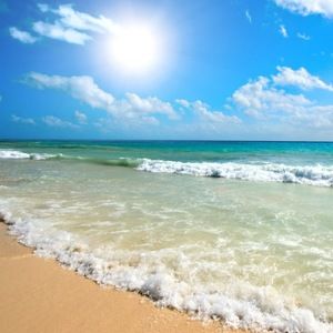 Meet your Posher, Katelyn